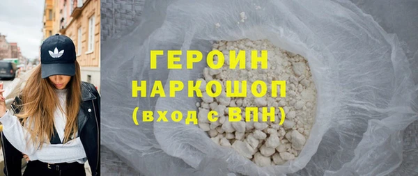 гидра Ельня
