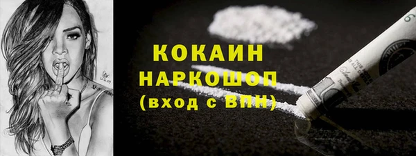 гидра Ельня