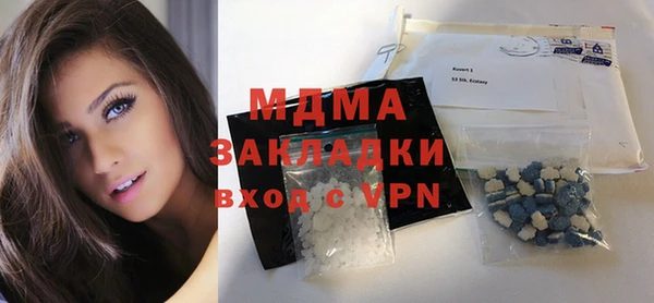 гидра Ельня