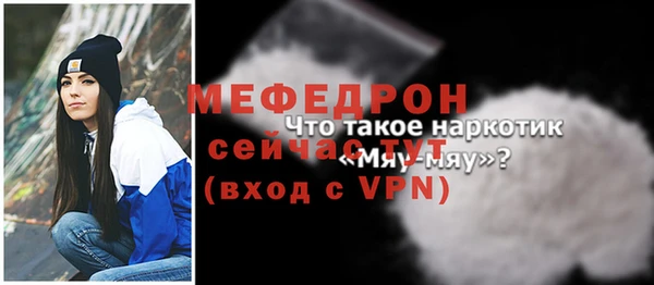 гидра Ельня