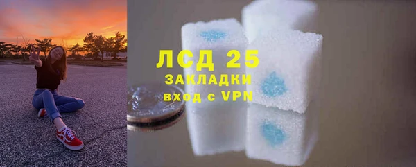 гидра Ельня