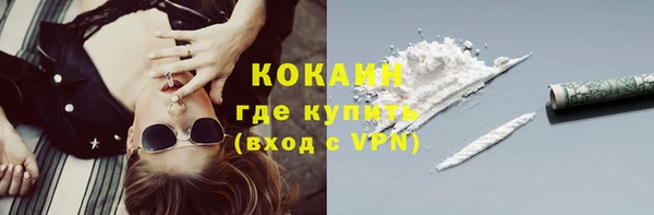 гидра Ельня