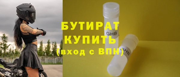 гидра Ельня