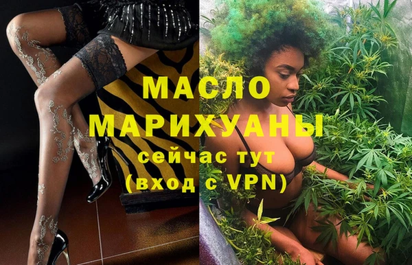 гидра Ельня
