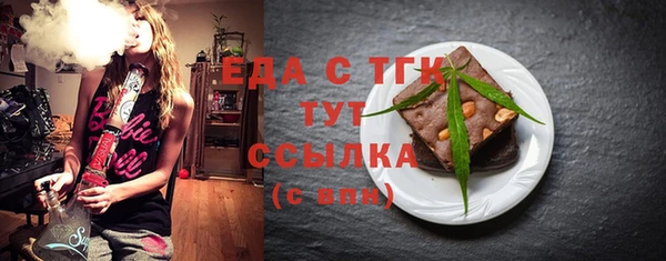 гидра Ельня