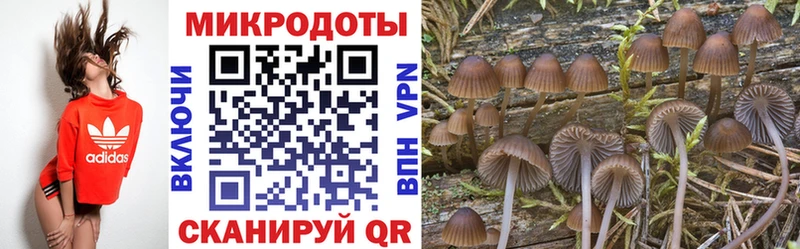 Купить закладки  Новошахтинск  Галлюциногенные грибы Cubensis 